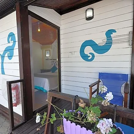 Blu Brezza Marine فندق *